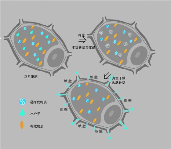 QQ图片20160714200208.jpg