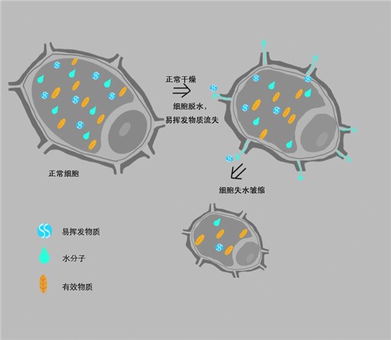 QQ图片20160714200219.jpg