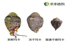 冻干黑玛卡