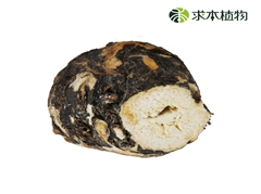 冻干黑玛卡