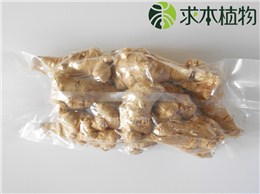 冻干三七（100克装）