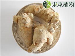 冻干三七
